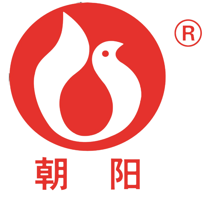 湖南朝阳电机泵业集团有限公司官网_潜水泵_污水泵_防爆潜水泵