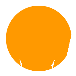 软件