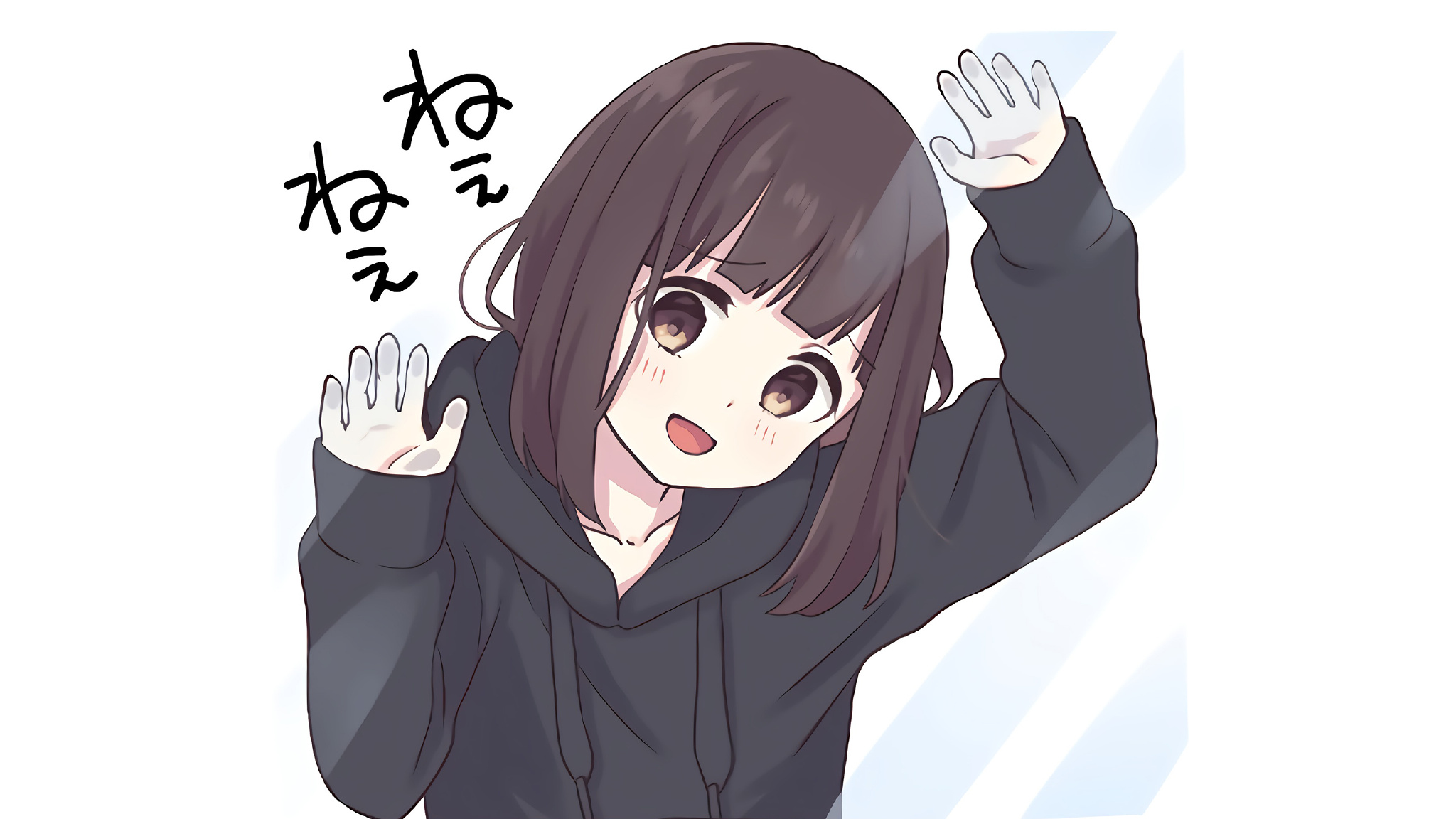 浪潮存储AS520G控制器更换